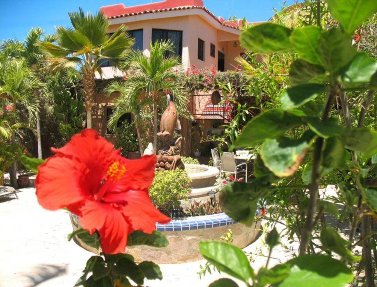 Bed and Breakfast Hacienda De Palmas La Ribera Exterior foto